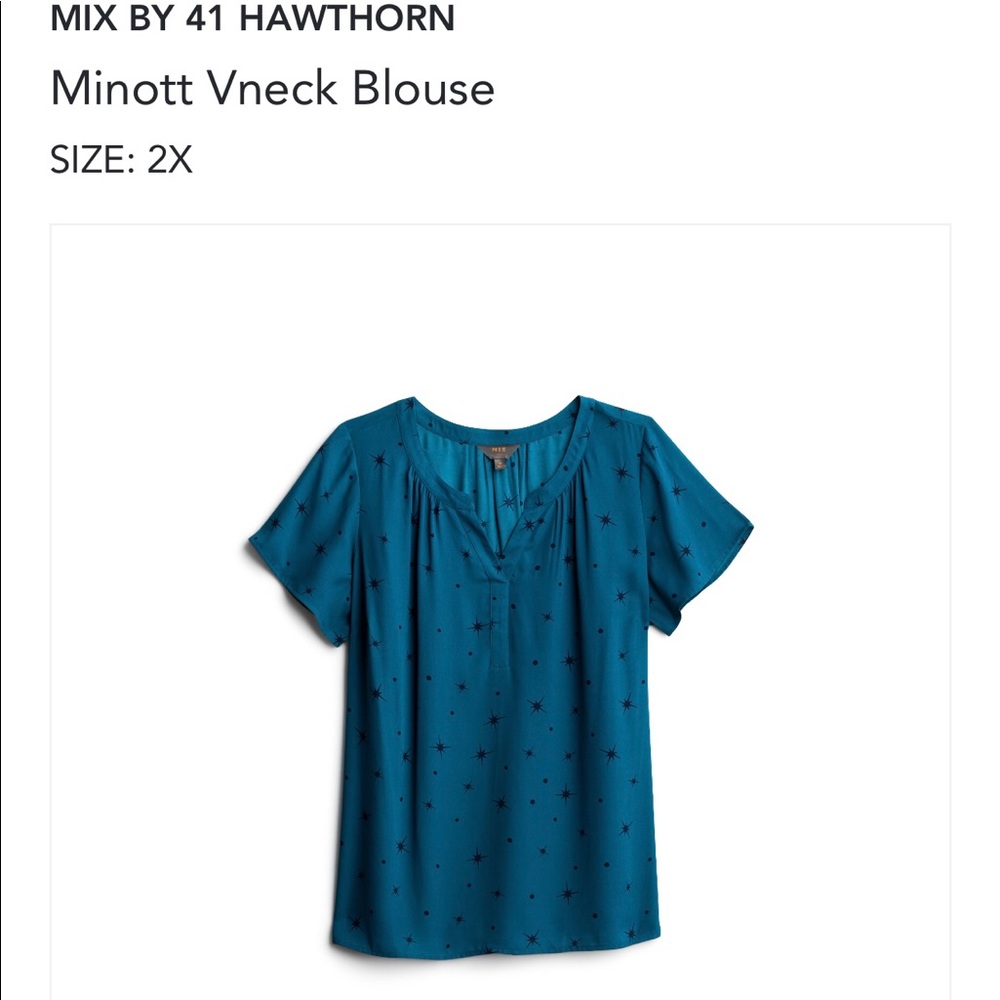 Minott Vneck Blouse